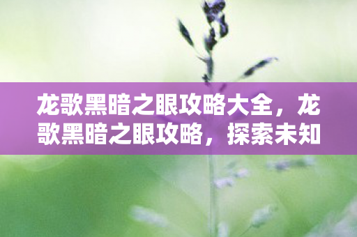 龙歌黑暗之眼攻略大全,龙歌黑暗之眼攻略,探索未知世界的策略与技巧 龙歌黑暗之眼攻略大全,龙歌黑暗之眼攻略,探索未知世界的策略与技巧