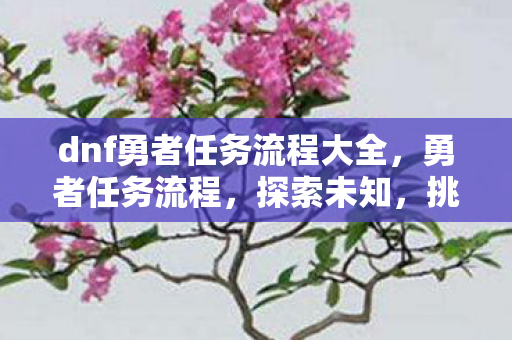 dnf勇者任务流程大全,勇者任务流程,探索未知,挑战极限 dnf勇者任务流程大全,勇者任务流程,探索未知,挑战极限