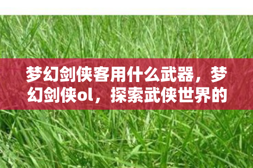 梦幻剑侠客用什么武器,梦幻剑侠ol,探索武侠世界的无尽魅力 梦幻剑侠客用什么武器,梦幻剑侠ol,探索武侠世界的无尽魅力