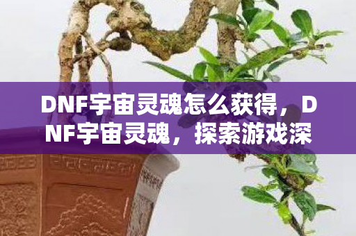 DNF宇宙灵魂怎么获得,DNF宇宙灵魂,探索游戏深处的神秘力量 DNF宇宙灵魂怎么获得,DNF宇宙灵魂,探索游戏深处的神秘力量