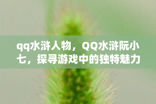 qq水浒人物，QQ水浒阮小七，探寻游戏中的独特魅力