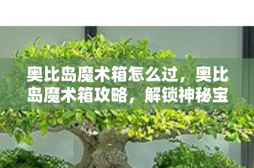 奥比岛魔术箱怎么过，奥比岛魔术箱攻略，解锁神秘宝藏的秘诀