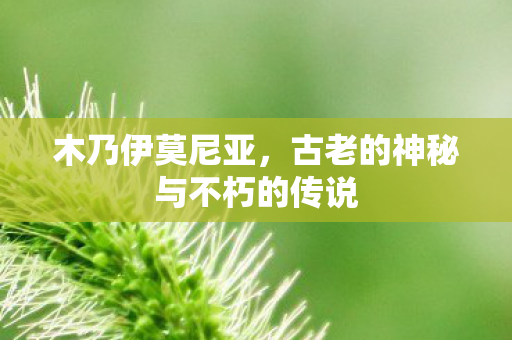 木乃伊莫尼亚,古老的神秘与不朽的传说 木乃伊莫尼亚,古老的神秘与不朽的传说