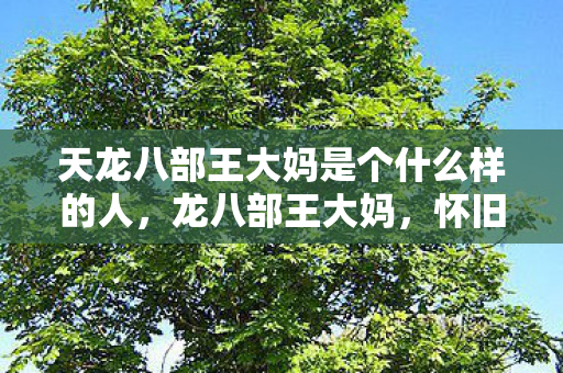天龙八部王大妈是个什么样的人,龙八部王大妈,怀旧服热潮背后的故事 天龙八部王大妈是个什么样的人,龙八部王大妈,怀旧服热潮背后的故事
