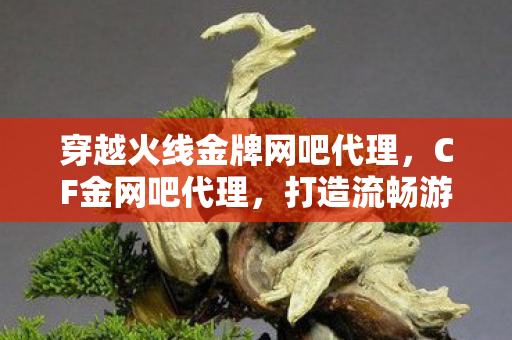 穿越火线金牌网吧代理,CF金网吧代理,打造流畅游戏体验的秘诀 穿越火线金牌网吧代理,CF金网吧代理,打造流畅游戏体验的秘诀