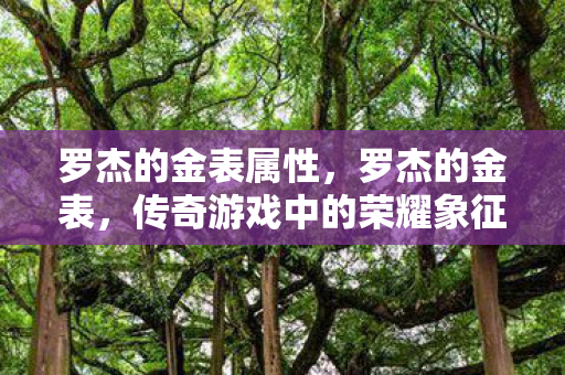 罗杰的金表属性,罗杰的金表,传奇游戏中的荣耀象征 罗杰的金表属性,罗杰的金表,传奇游戏中的荣耀象征