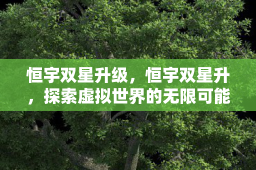 恒宇双星升级,恒宇双星升,探索虚拟世界的无限可能 恒宇双星升级,恒宇双星升,探索虚拟世界的无限可能