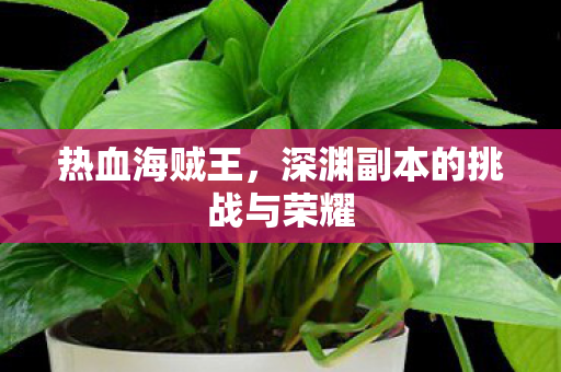 热血海贼王,深渊副本的挑战与荣耀 热血海贼王,深渊副本的挑战与荣耀