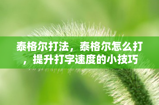 泰格尔打法,泰格尔怎么打,提升打字速度的小技巧 泰格尔打法,泰格尔怎么打,提升打字速度的小技巧