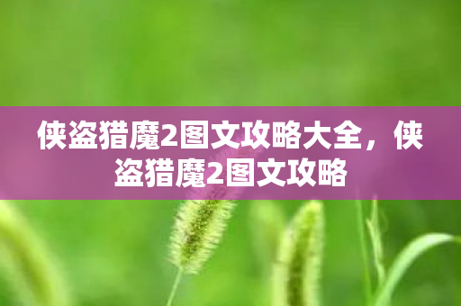 侠盗猎魔2图文攻略大全，侠盗猎魔2图文攻略