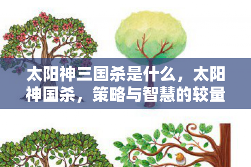 太阳神三国杀是什么,太阳神国杀,策略与智慧的较量 太阳神三国杀是什么,太阳神国杀,策略与智慧的较量