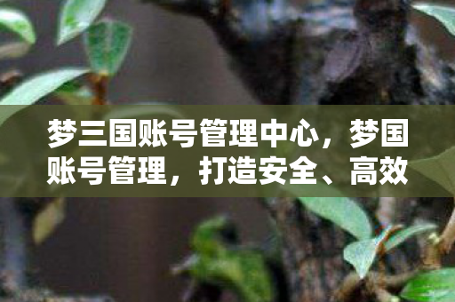 梦三国账号管理中心，梦国账号管理，打造安全、高效的账号管理体系