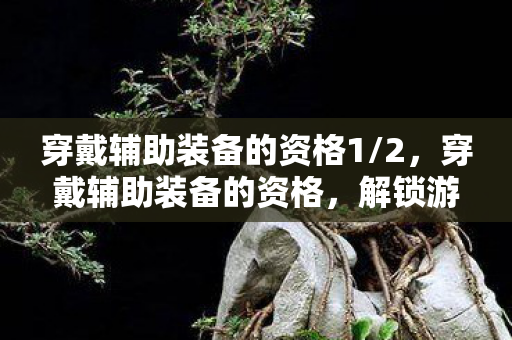 穿戴辅助装备的资格1/2,穿戴辅助装备的资格,解锁游戏新境界的钥匙 穿戴辅助装备的资格1/2,穿戴辅助装备的资格,解锁游戏新境界的钥匙