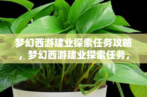 梦幻西游建业探索任务攻略,梦幻西游建业探索任务,揭秘古城中的奇遇与宝藏 梦幻西游建业探索任务攻略,梦幻西游建业探索任务,揭秘古城中的奇遇与宝藏