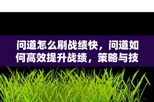 问道怎么刷战绩快,问道如何高效提升战绩,策略与技巧 问道怎么刷战绩快,问道如何高效提升战绩,策略与技巧