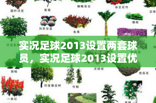 实况足球2013设置两套球员,实况足球2013设置优化指南,打造流畅游戏新体验 实况足球2013设置两套球员,实况足球2013设置优化指南,打造流畅游戏新体验