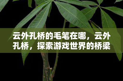 云外孔桥的毛笔在哪,云外孔桥,探索游戏世界的桥梁 云外孔桥的毛笔在哪,云外孔桥,探索游戏世界的桥梁