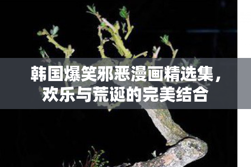 韩国爆笑邪恶漫画精选集，欢乐与荒诞的完美结合