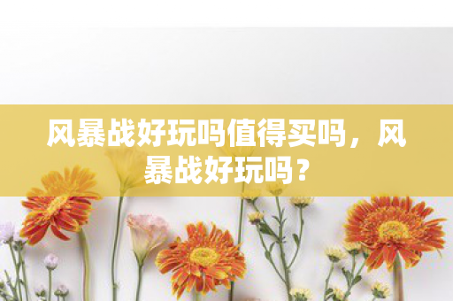 风暴战好玩吗值得买吗,风暴战好玩吗? 风暴战好玩吗值得买吗,风暴战好玩吗?