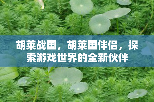 胡莱战国,胡莱国伴侣,探索游戏世界的全新伙伴 胡莱战国,胡莱国伴侣,探索游戏世界的全新伙伴