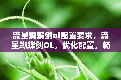 流星蝴蝶剑ol配置要求,流星蝴蝶剑OL,优化配置,畅享丝滑体验 流星蝴蝶剑ol配置要求,流星蝴蝶剑OL,优化配置,畅享丝滑体验