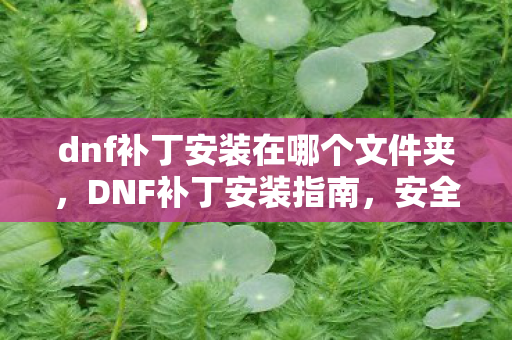 dnf补丁安装在哪个文件夹，DNF补丁安装指南，安全、高效、合规的补丁存放位置