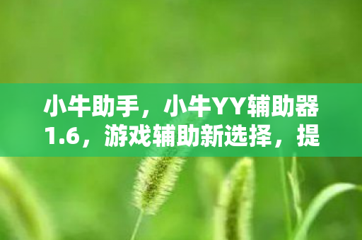 小牛助手,小牛YY辅助器1.6,游戏辅助新选择,提升游戏体验的利器 小牛助手,小牛YY辅助器1.6,游戏辅助新选择,提升游戏体验的利器