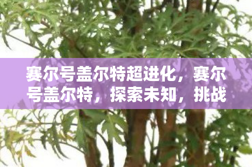 赛尔号盖尔特超进化,赛尔号盖尔特,探索未知,挑战极限 赛尔号盖尔特超进化,赛尔号盖尔特,探索未知,挑战极限