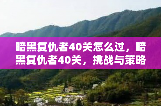 暗黑复仇者40关怎么过,暗黑复仇者40关,挑战与策略的深度剖析 暗黑复仇者40关怎么过,暗黑复仇者40关,挑战与策略的深度剖析