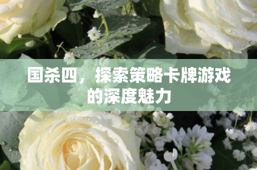 国杀四,探索策略卡牌游戏的深度魅力 国杀四,探索策略卡牌游戏的深度魅力