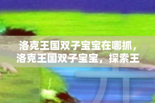 洛克王国双子宝宝在哪抓，洛克王国双子宝宝，探索王国中的奇妙冒险
