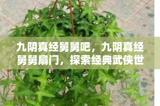 九阴真经舅舅吧,九阴真经舅舅扇门,探索经典武侠世界的独特魅力 九阴真经舅舅吧,九阴真经舅舅扇门,探索经典武侠世界的独特魅力