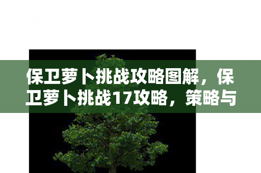 保卫萝卜挑战攻略图解,保卫萝卜挑战17攻略,策略与技巧详解 保卫萝卜挑战攻略图解,保卫萝卜挑战17攻略,策略与技巧详解