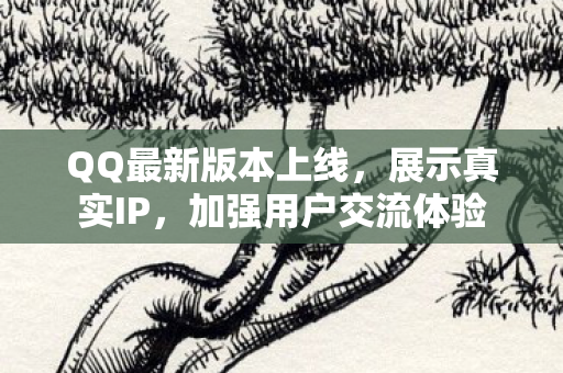 QQ最新版本上线，展示真实IP，加强用户交流体验