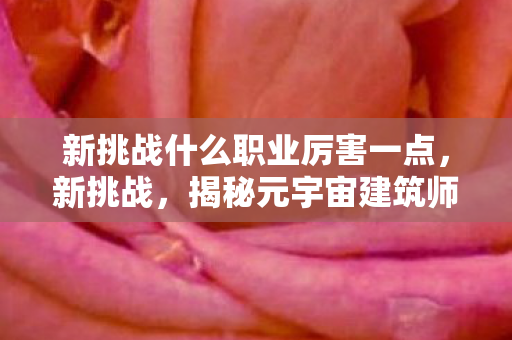 新挑战什么职业厉害一点，新挑战，揭秘元宇宙建筑师的无限可能