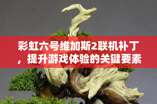 彩虹六号维加斯2联机补丁，提升游戏体验的关键要素