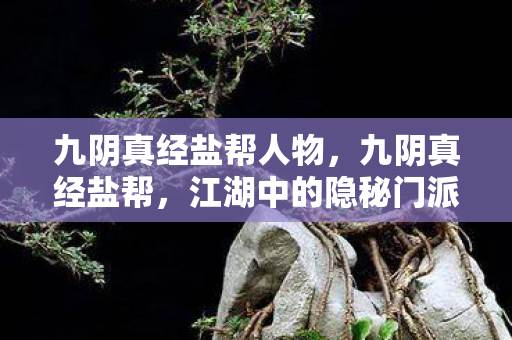 九阴真经盐帮人物，九阴真经盐帮，江湖中的隐秘门派