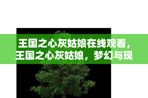 王国之心灰姑娘在线观看,王国之心灰姑娘,梦幻与现实的交织 王国之心灰姑娘在线观看,王国之心灰姑娘,梦幻与现实的交织