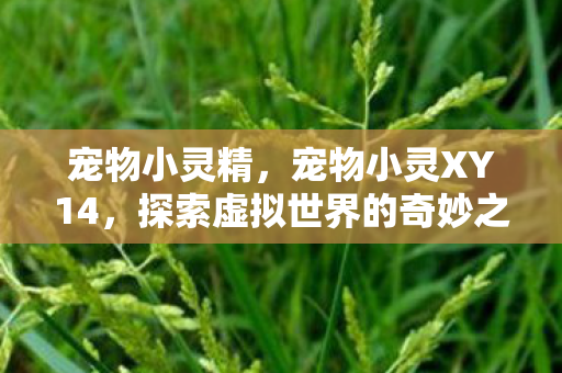 宠物小灵精,宠物小灵XY14,探索虚拟世界的奇妙之旅 宠物小灵精,宠物小灵XY14,探索虚拟世界的奇妙之旅