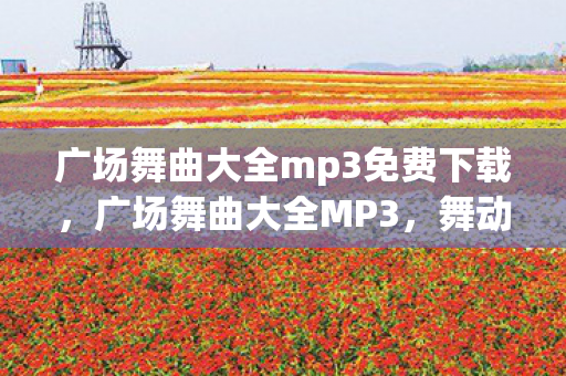 广场舞曲大全mp3免费下载,广场舞曲大全MP3,舞动生活的音乐盛宴 广场舞曲大全mp3免费下载,广场舞曲大全MP3,舞动生活的音乐盛宴