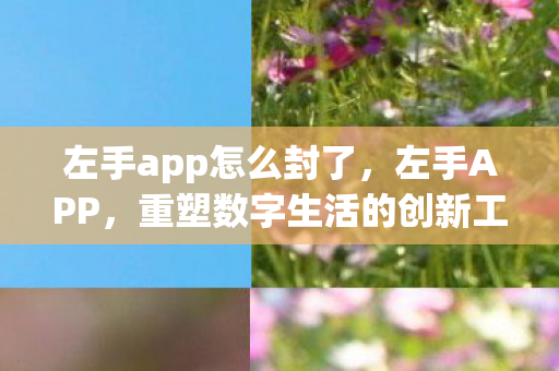 左手app怎么封了,左手APP,重塑数字生活的创新工具 左手app怎么封了,左手APP,重塑数字生活的创新工具
