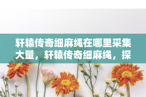 轩辕传奇细麻绳在哪里采集大量,轩辕传奇细麻绳,探寻古老传说中的神秘元素 轩辕传奇细麻绳在哪里采集大量,轩辕传奇细麻绳,探寻古老传说中的神秘元素