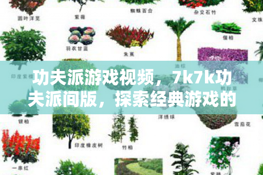 功夫派游戏视频,7k7k功夫派间版,探索经典游戏的另类乐趣 功夫派游戏视频,7k7k功夫派间版,探索经典游戏的另类乐趣