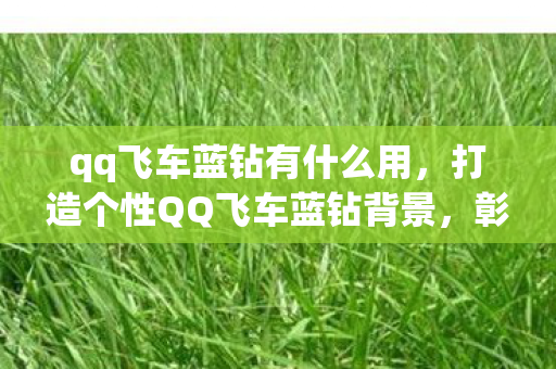 qq飞车蓝钻有什么用,打造个性QQ飞车蓝钻背景,彰显独特魅力 qq飞车蓝钻有什么用,打造个性QQ飞车蓝钻背景,彰显独特魅力