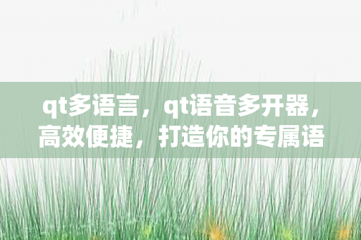 qt多语言,qt语音多开器,高效便捷,打造你的专属语音聊天环境 qt多语言,qt语音多开器,高效便捷,打造你的专属语音聊天环境