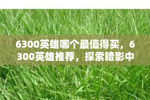 6300英雄哪个最值得买,6300英雄推荐,探索暗影中的刺客—影流之主劫 6300英雄哪个最值得买,6300英雄推荐,探索暗影中的刺客—影流之主劫
