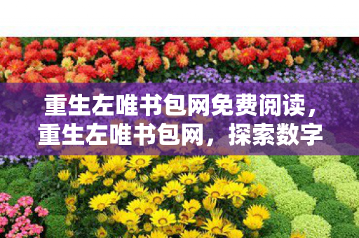 重生左唯书包网免费阅读,重生左唯书包网,探索数字阅读的无限可能 重生左唯书包网免费阅读,重生左唯书包网,探索数字阅读的无限可能