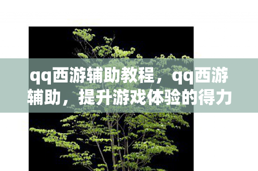 qq西游辅助教程,qq西游辅助,提升游戏体验的得力助手 qq西游辅助教程,qq西游辅助,提升游戏体验的得力助手