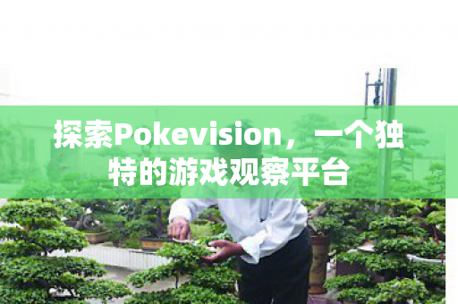 探索Pokevision，一个独特的游戏观察平台
