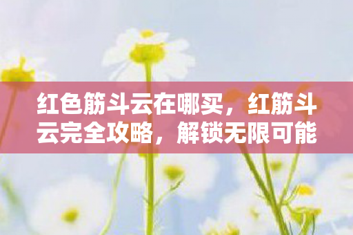 红色筋斗云在哪买,红筋斗云完全攻略,解锁无限可能的云端之旅 红色筋斗云在哪买,红筋斗云完全攻略,解锁无限可能的云端之旅